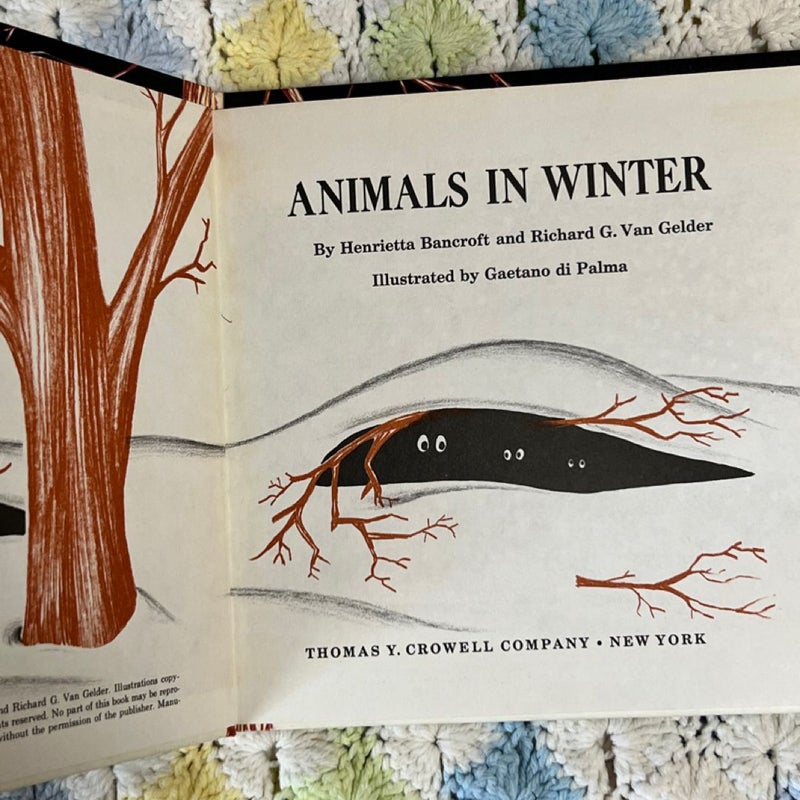 Animals in Winter 