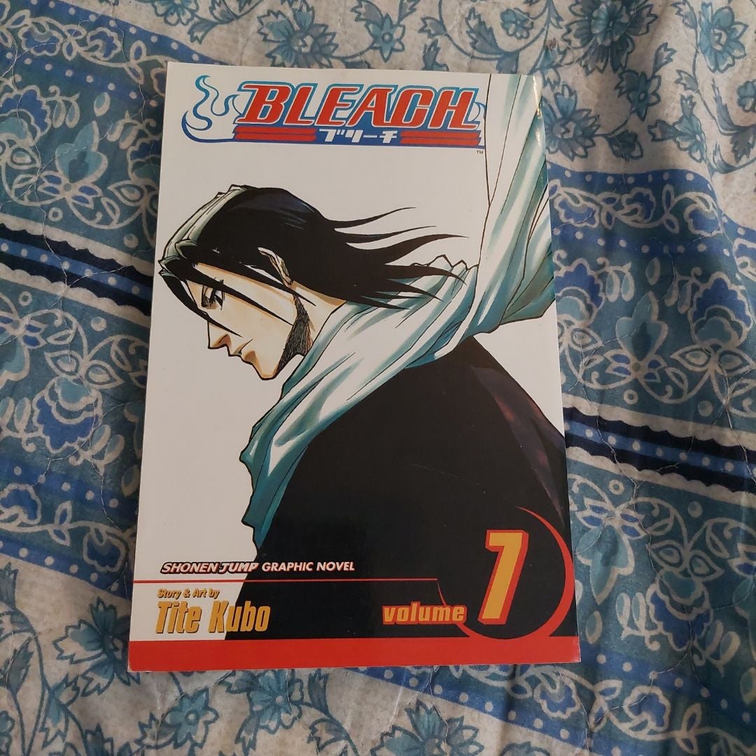 Bleach, Vol. 7