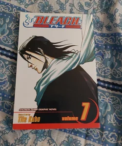 Bleach, Vol. 7