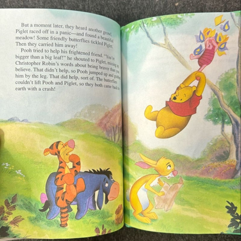 3-pack Winnie the Pooh adventures 