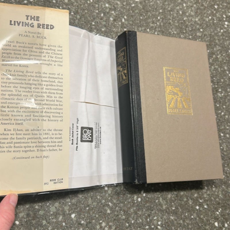 The living reed VINTAGE