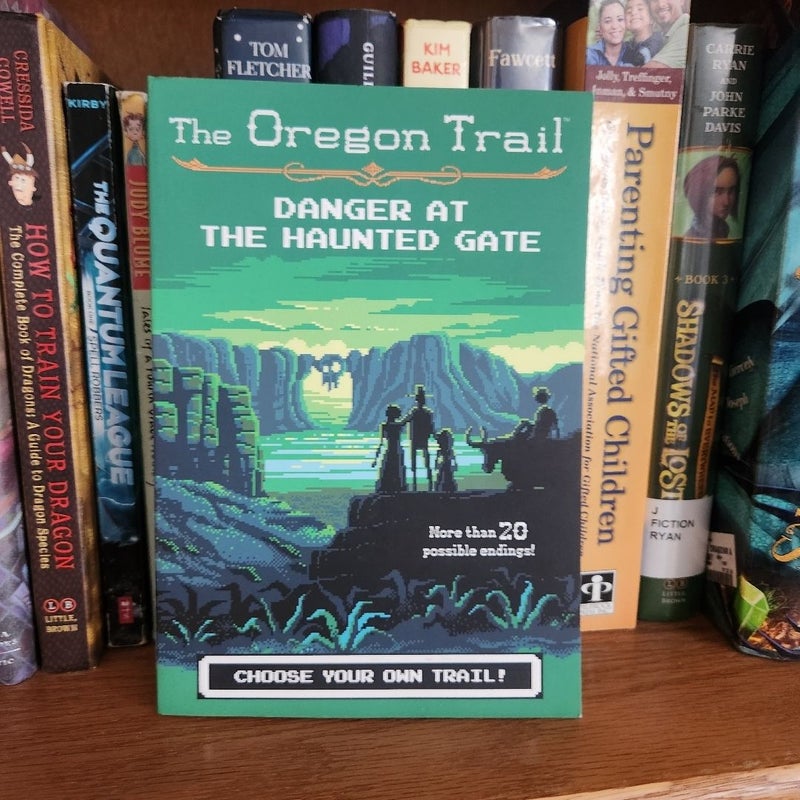 Danger at the Haunted Gate & The Search at Snake River Oregon Trail 2 Books