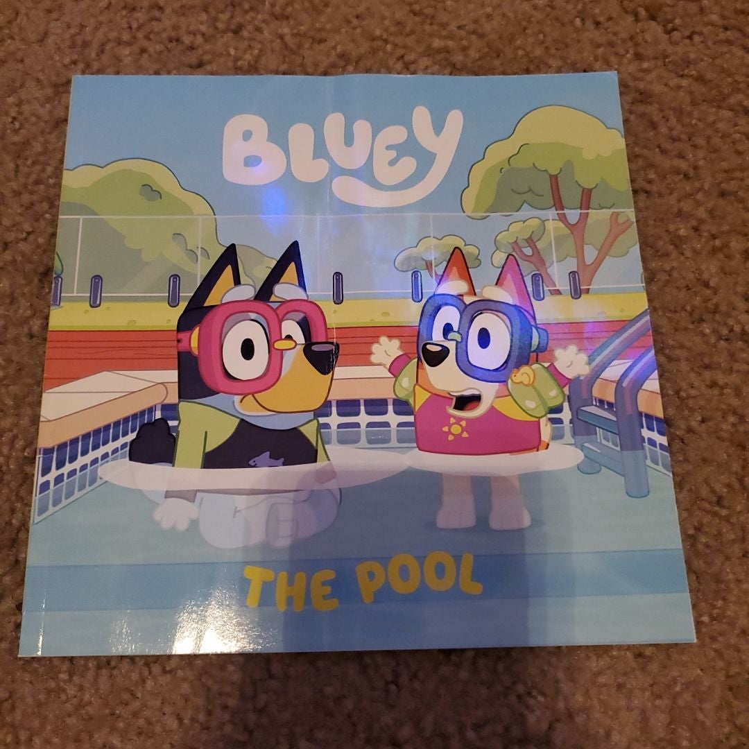 Bluey: the Pool