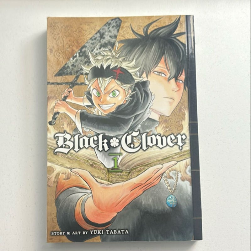 Black Clover, Vol. 1