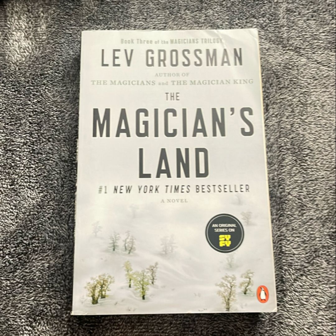 The Magician's Land