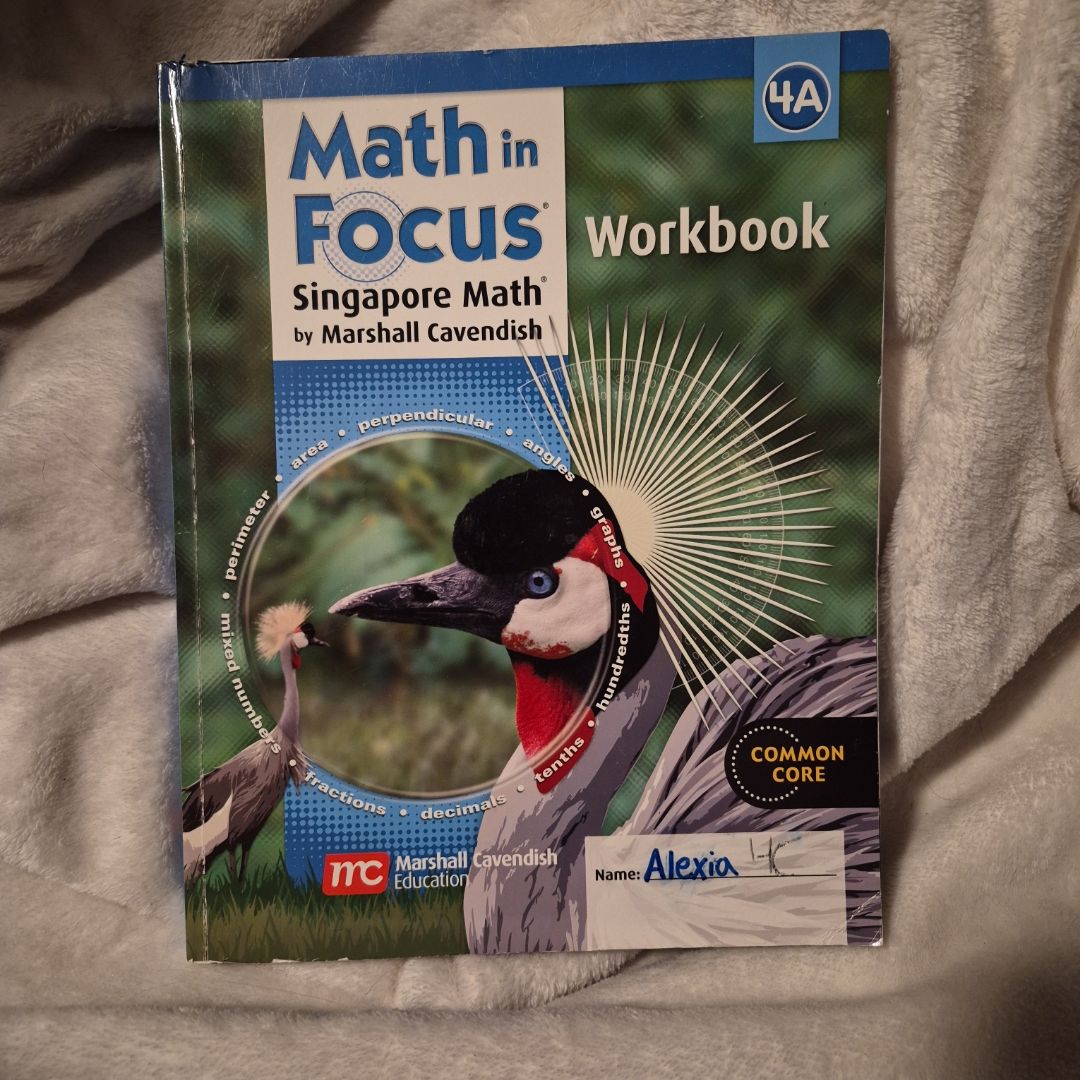 Math in Focus: Singapore Math