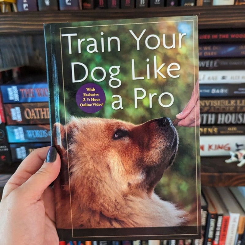 Train Your Dog Like a Pro