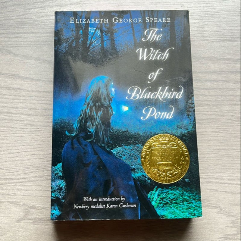 The Witch of Blackbird Pond