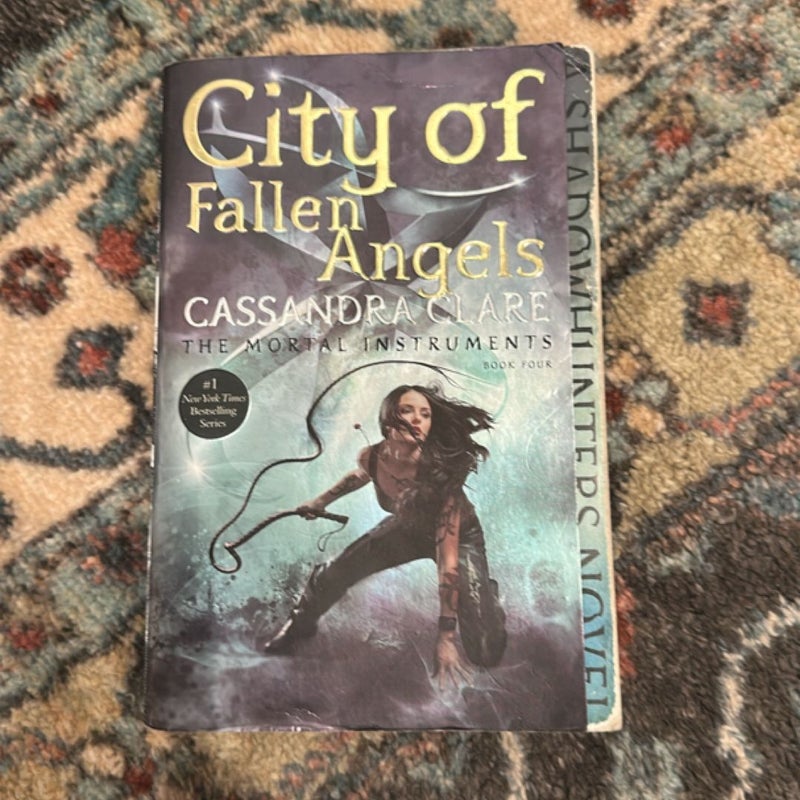 City of Fallen Angels