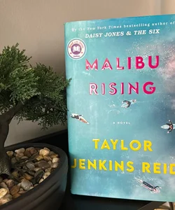 Malibu Rising