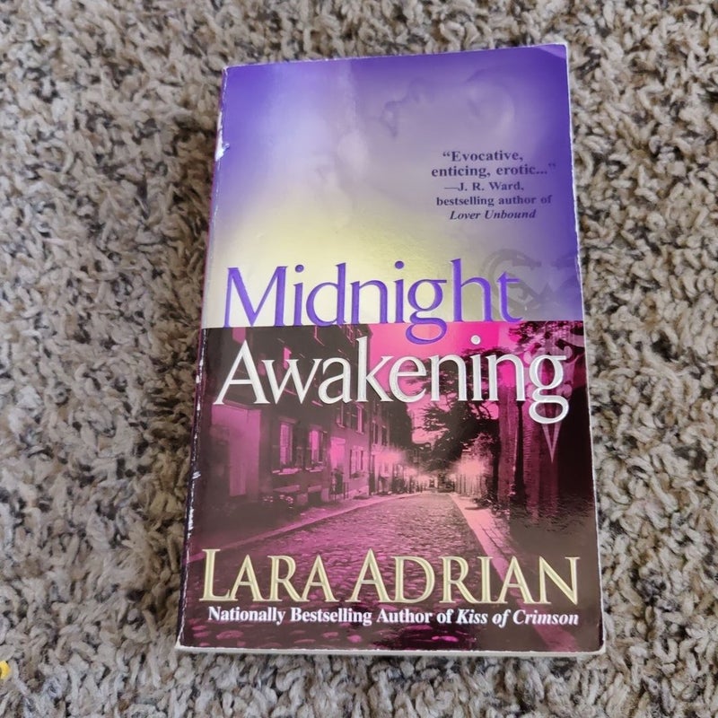 Midnight Awakening (Book 3 of 18)