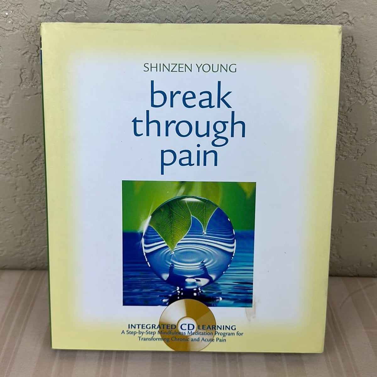 Break Through Pain by Shinzen Young, Hardcover Pangobooks