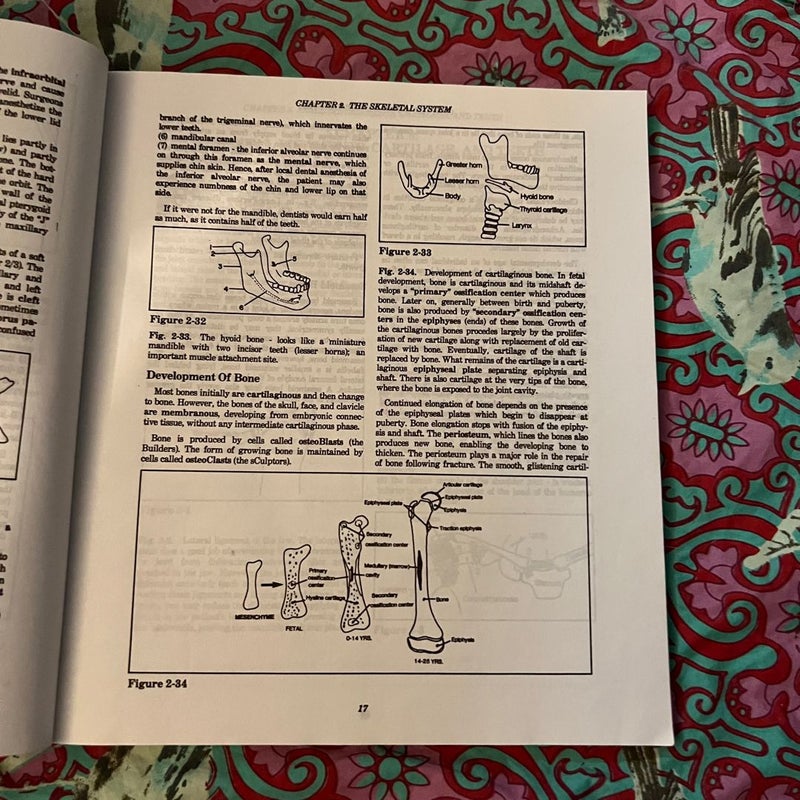 Clinical Anatomy Made Ridiculously Simple (1990)