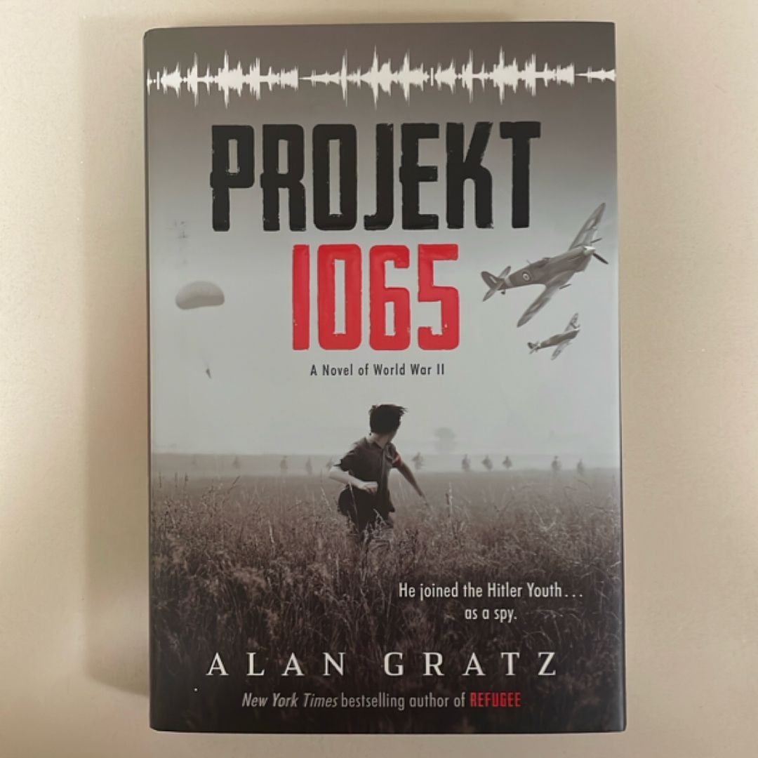 Projekt 1065