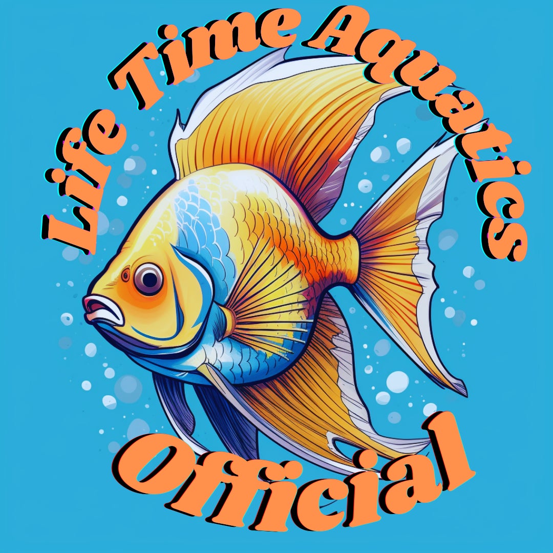 Life Time Aquatics