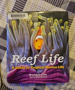 Reef Life
