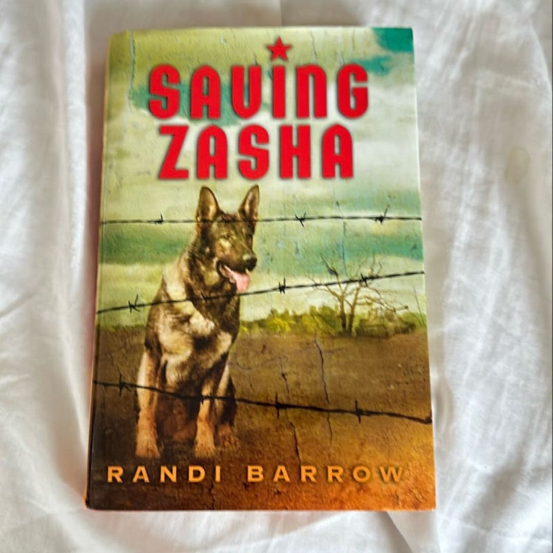 Saving Zasha