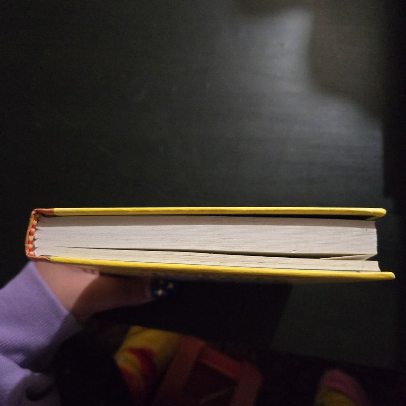 Dog Days (Diary of a Wimpy Kid #4)