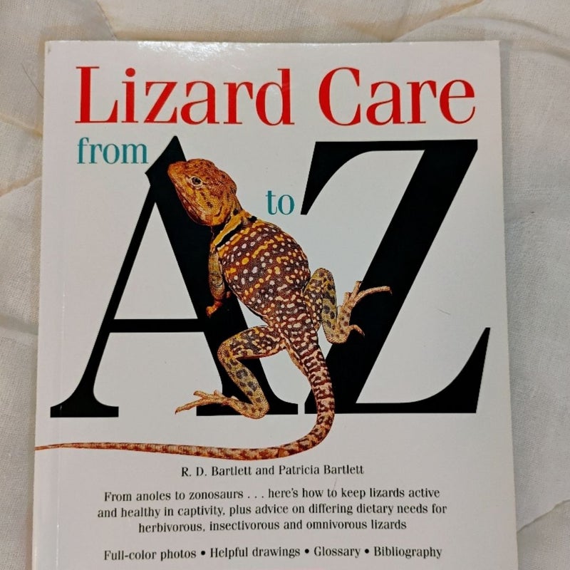 Lizard care from A to Z