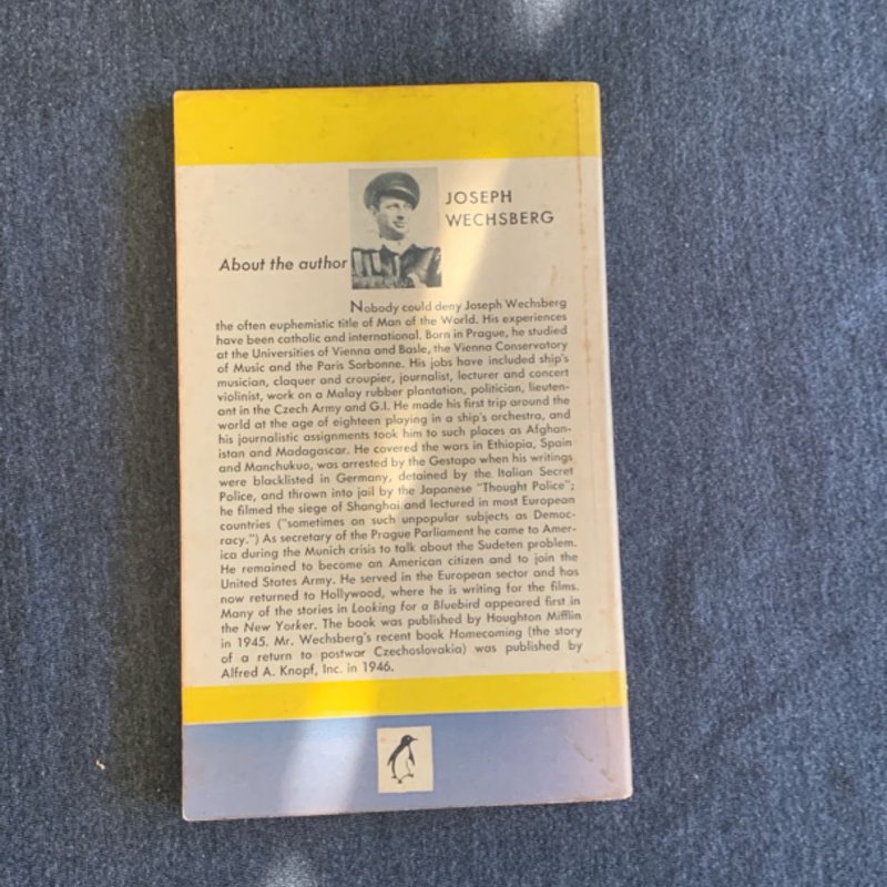 Looking For A Bluebird