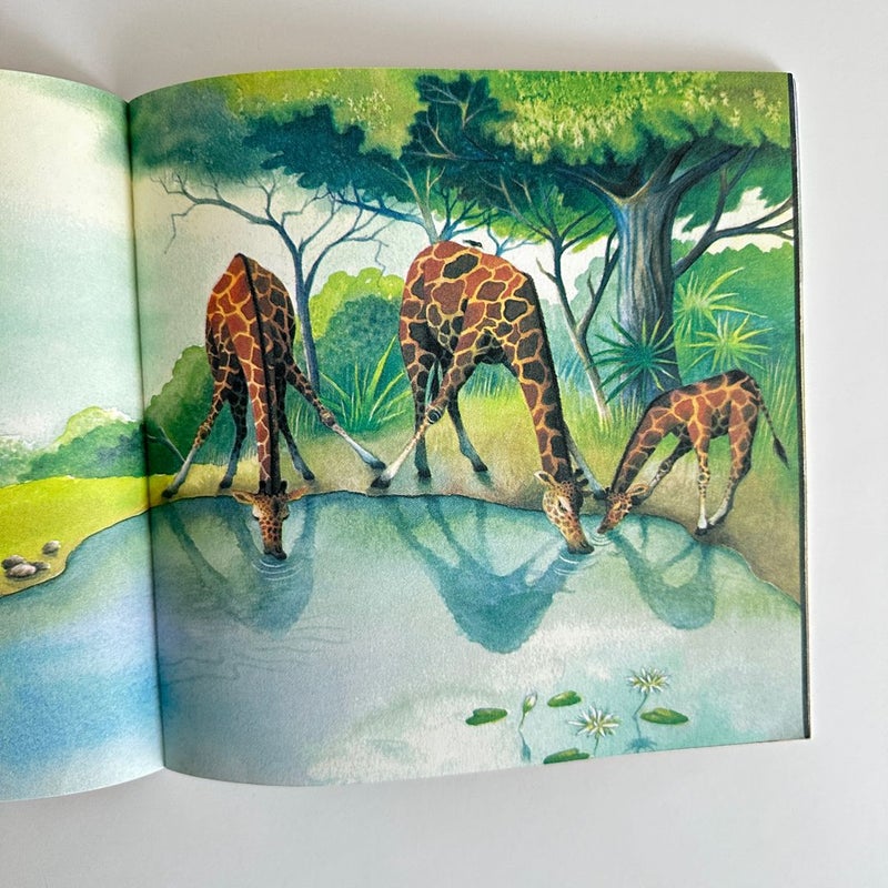 Animal Book Bundle, 3 books
