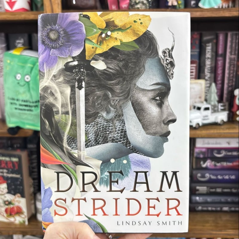 Dreamstrider