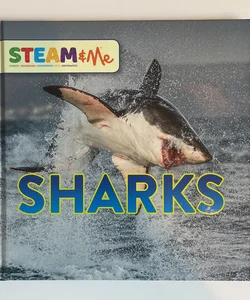 STEAM and Me Sharks