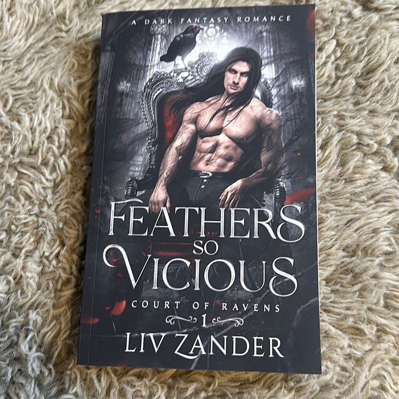 Feathers So Vicious: a Dark Fantasy Romance