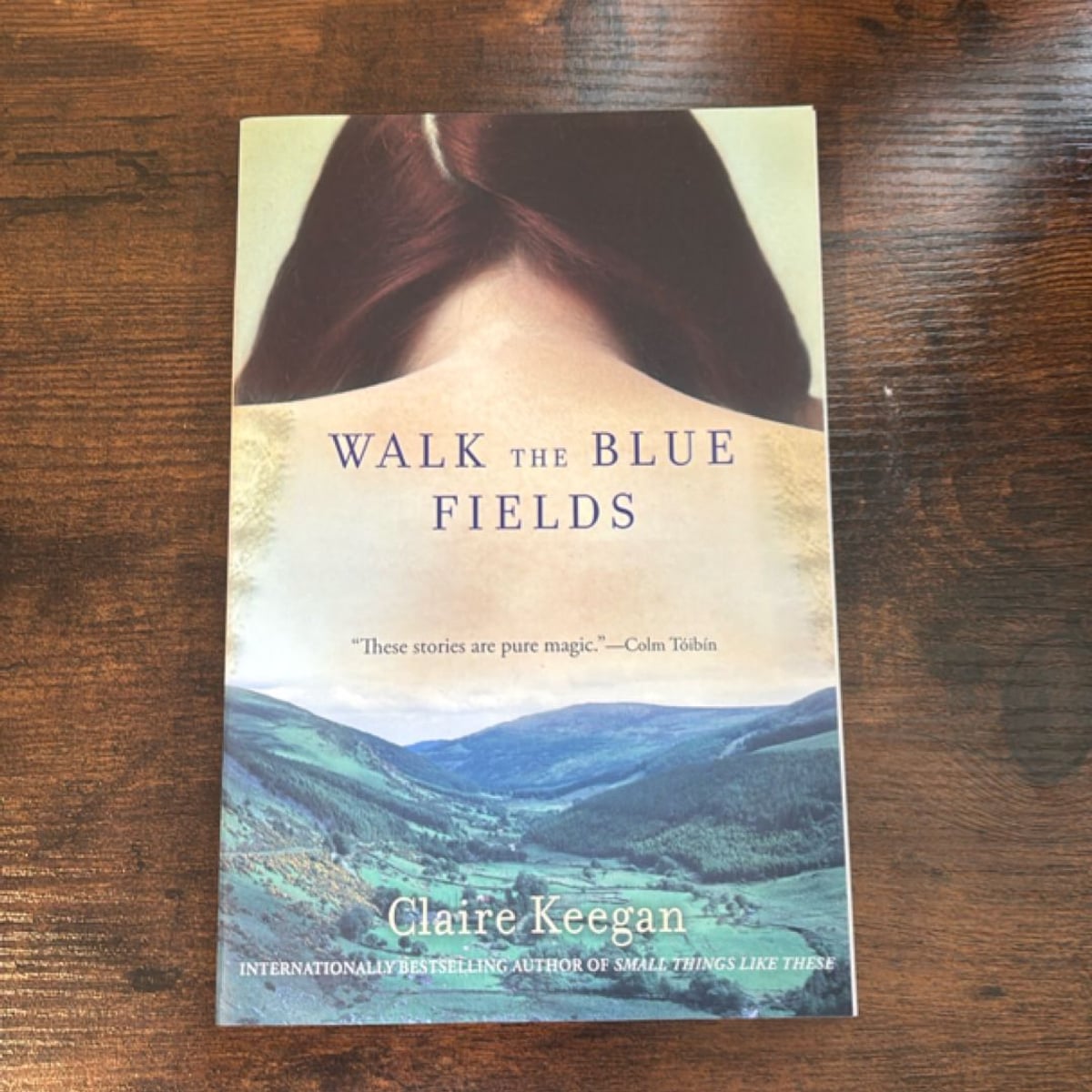 Walk the Blue Fields by Claire Keegan
