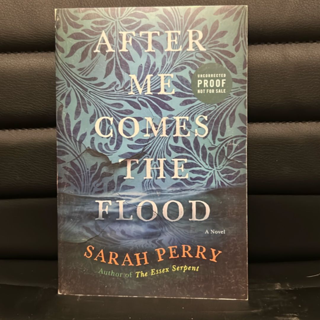 After Me Comes the Flood