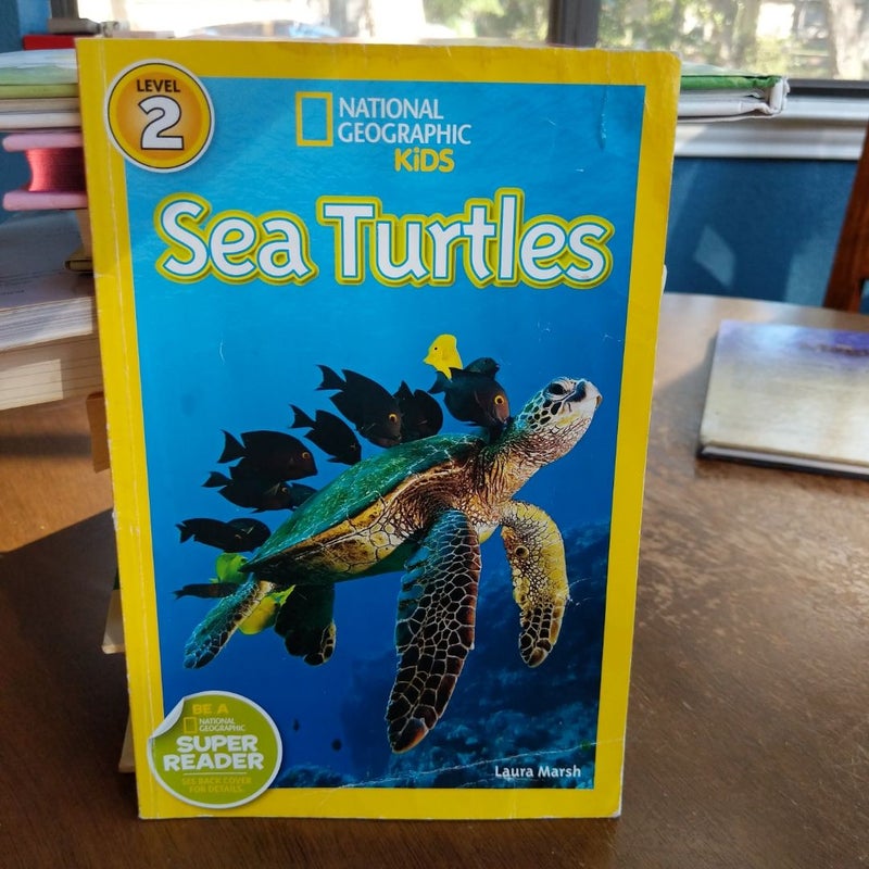 National Geographic Readers: Sea Turtles