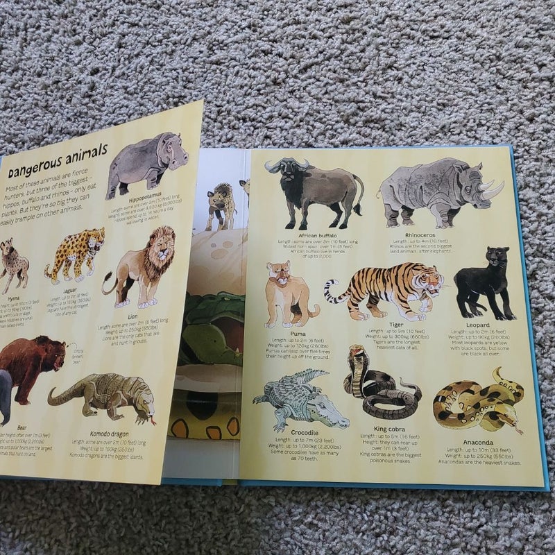 Big Book of Big Animals