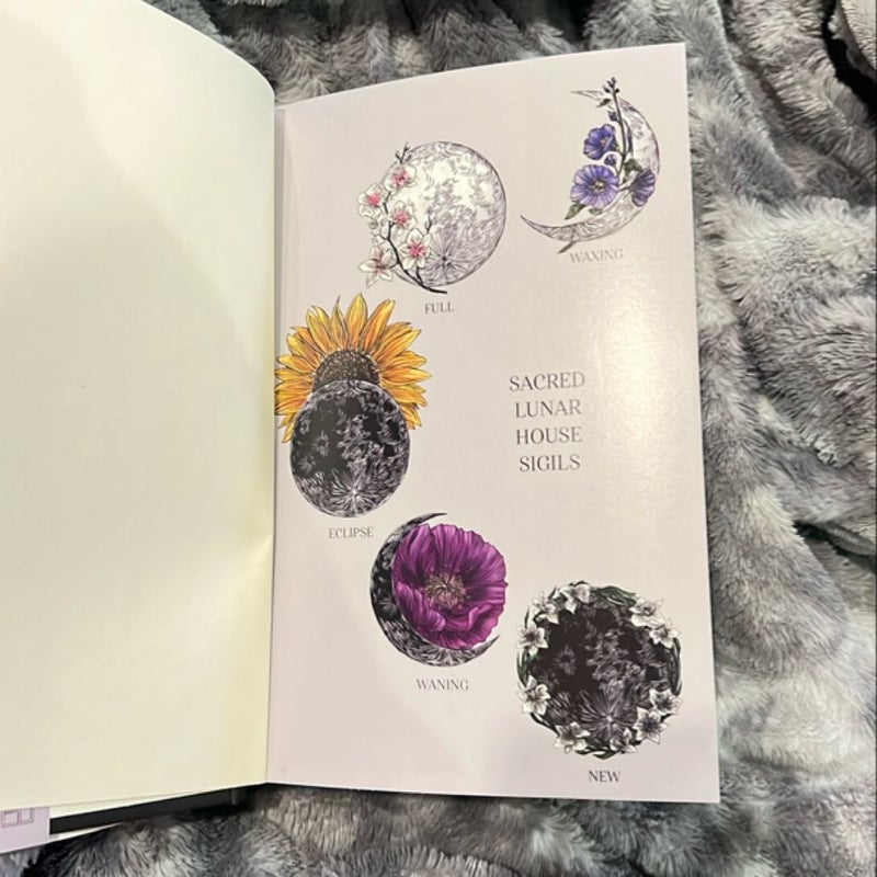 Curious Tides (Barnes and Noble Edition)