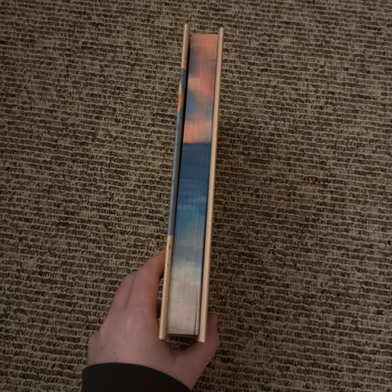 Beach Read