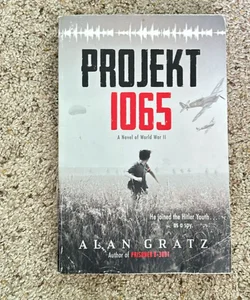 Project 1065