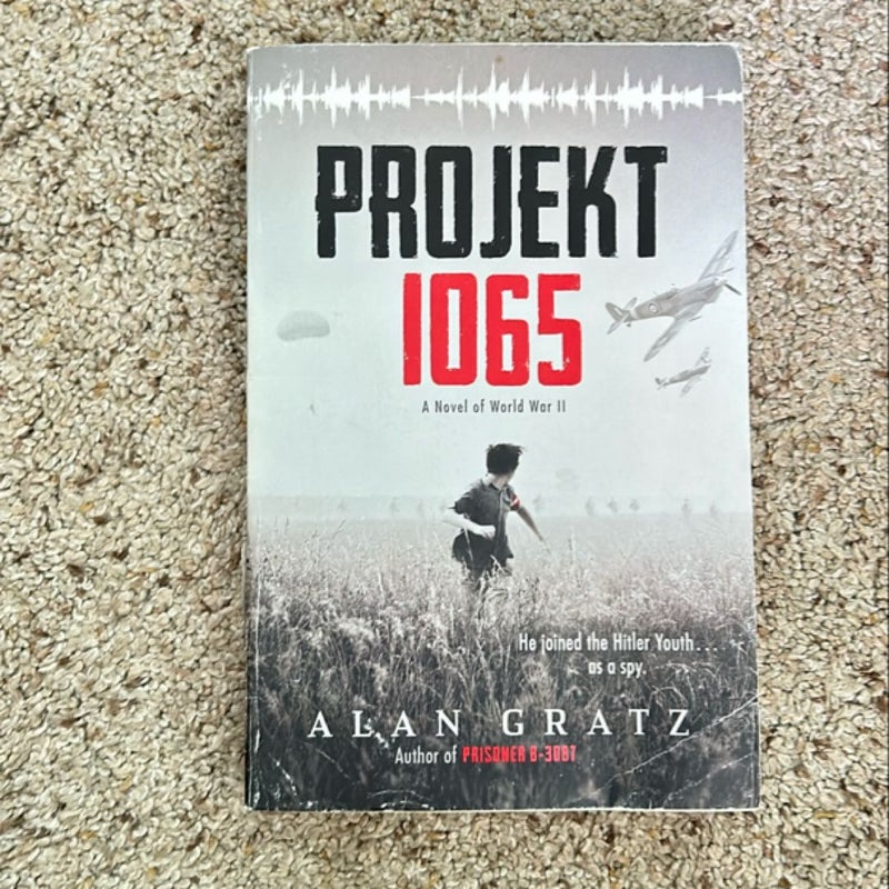 Project 1065