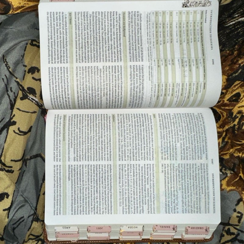 Hosanna Revival - ESV Study Bible - Aurora Theme