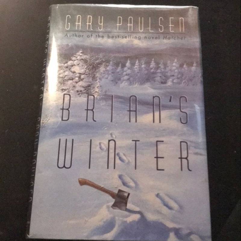 Brian's Winter