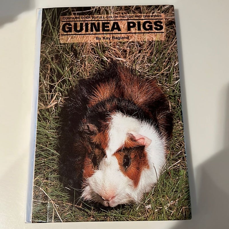 Guinea Pigs