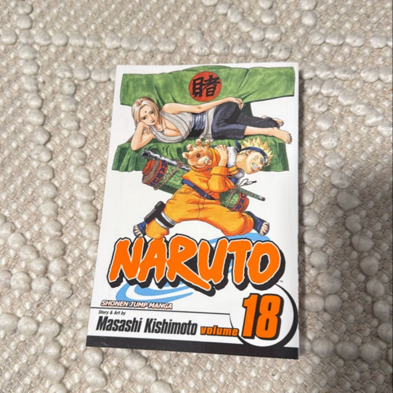 Naruto, Vol. 18