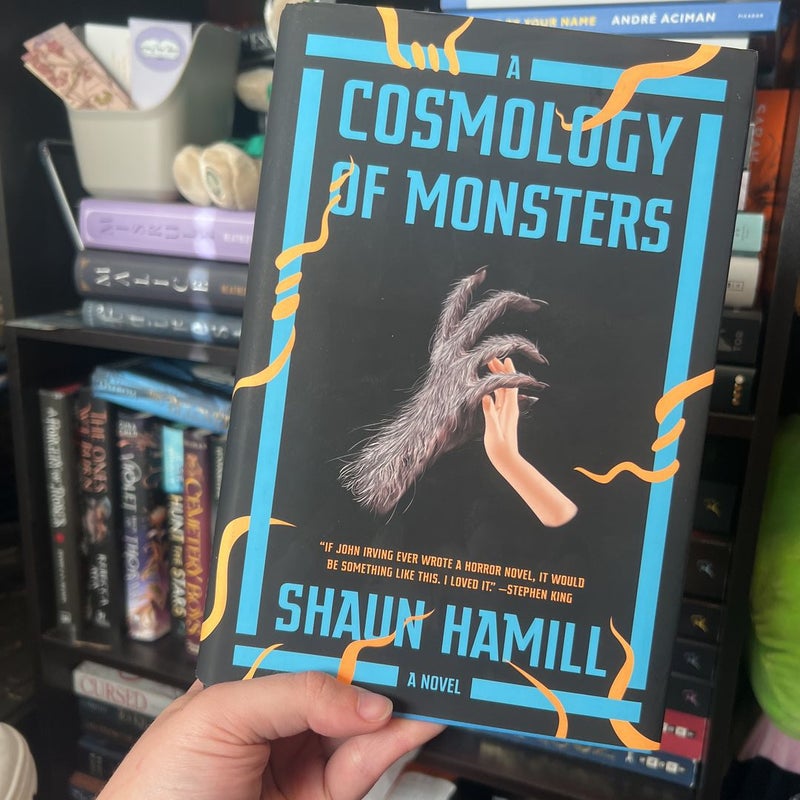 A Cosmology of Monsters