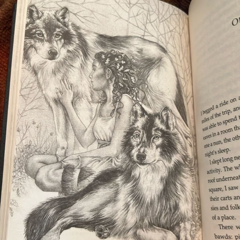 A Pocketful of Crows