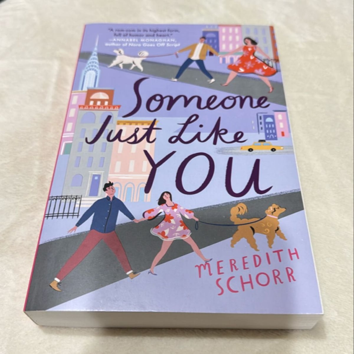 Someone Just Like You by Meredith Schorr
