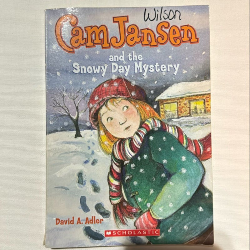 Cam Jansen and the Snowy Day Mystery