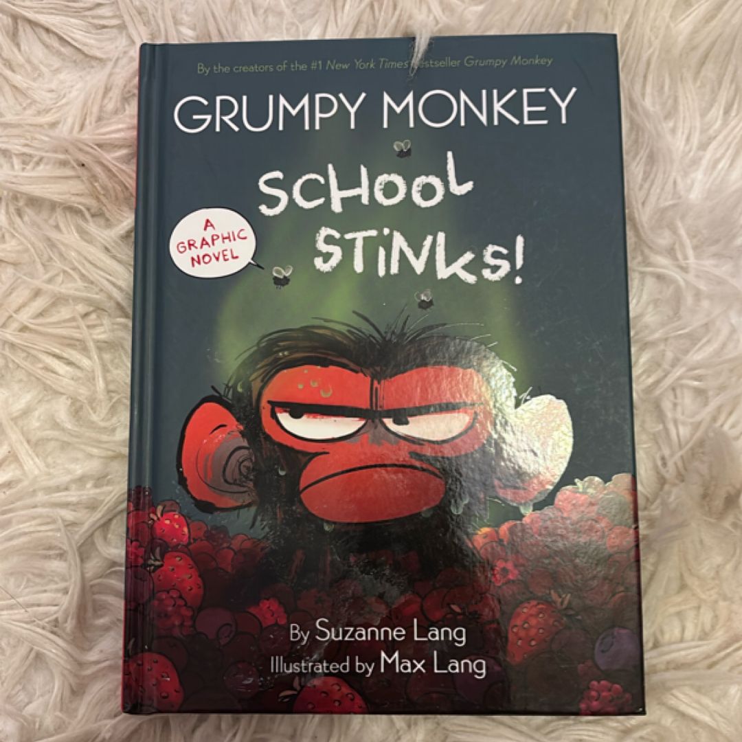Grumpy Monkey School Stinks: A Graphic Novel