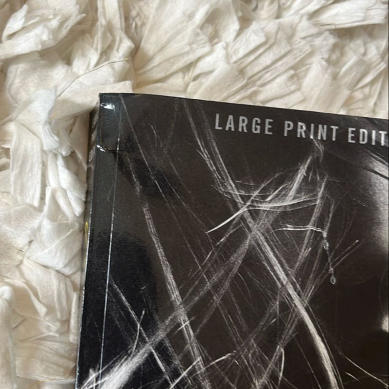Verity, Large Print Edition