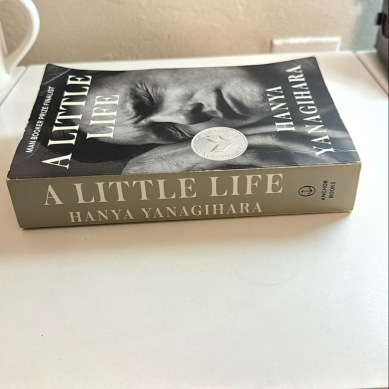 A Little Life