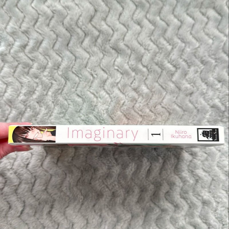 Imaginary Vol. 1