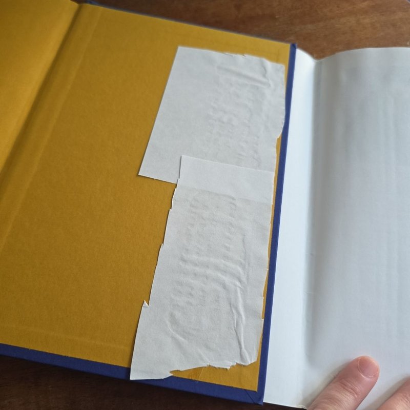 *EX-LIBRARY* The Daughters of Temperance Hobbs (Sequel to The Physick Book of Deliverance Dane)