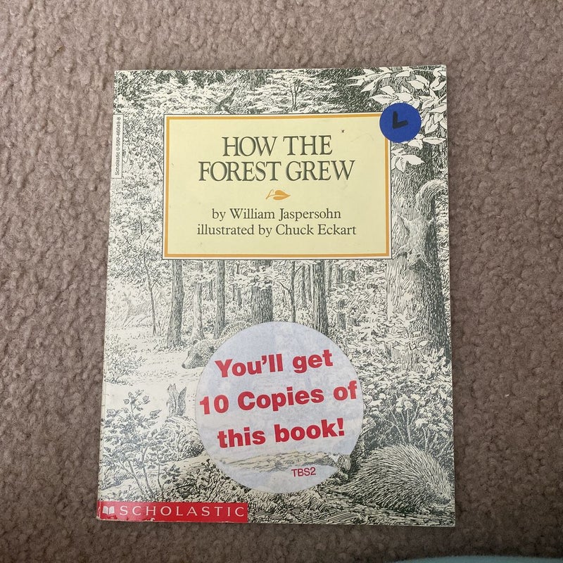 How the Forest Grew